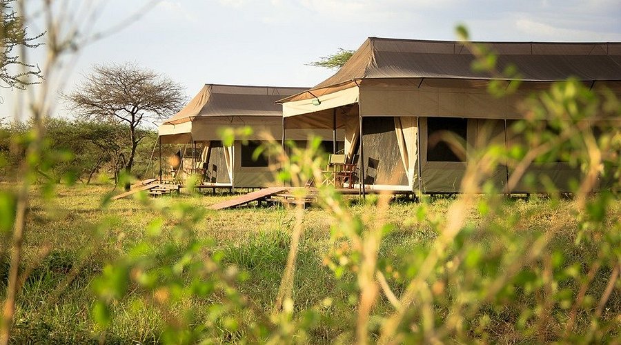 Zawadi Lodge