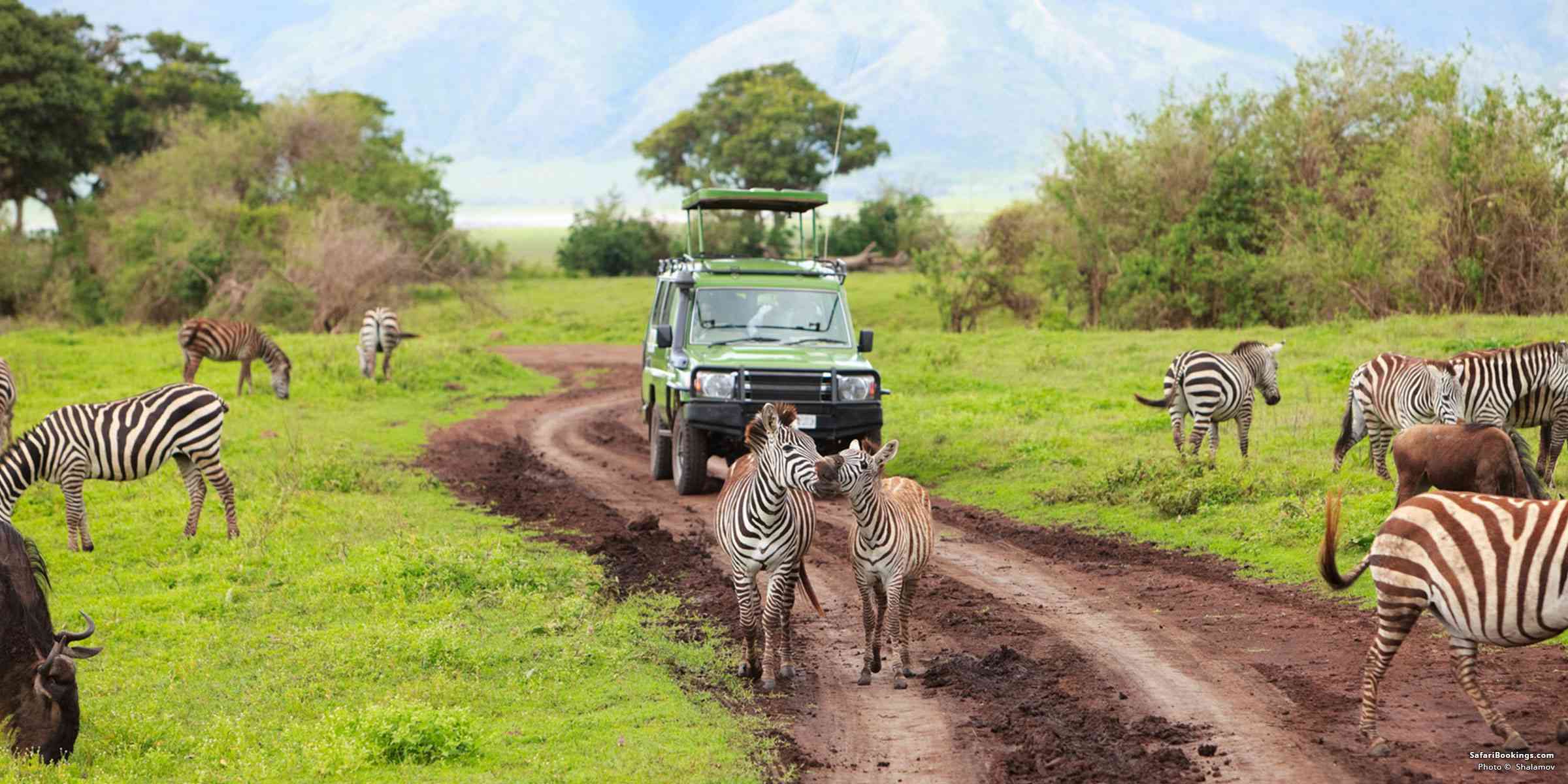 6 Days Tanzania Family Safari