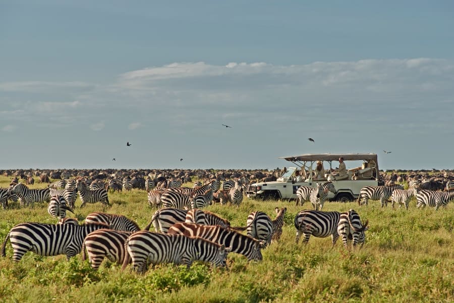 5 Days Serengeti Luxury Safari