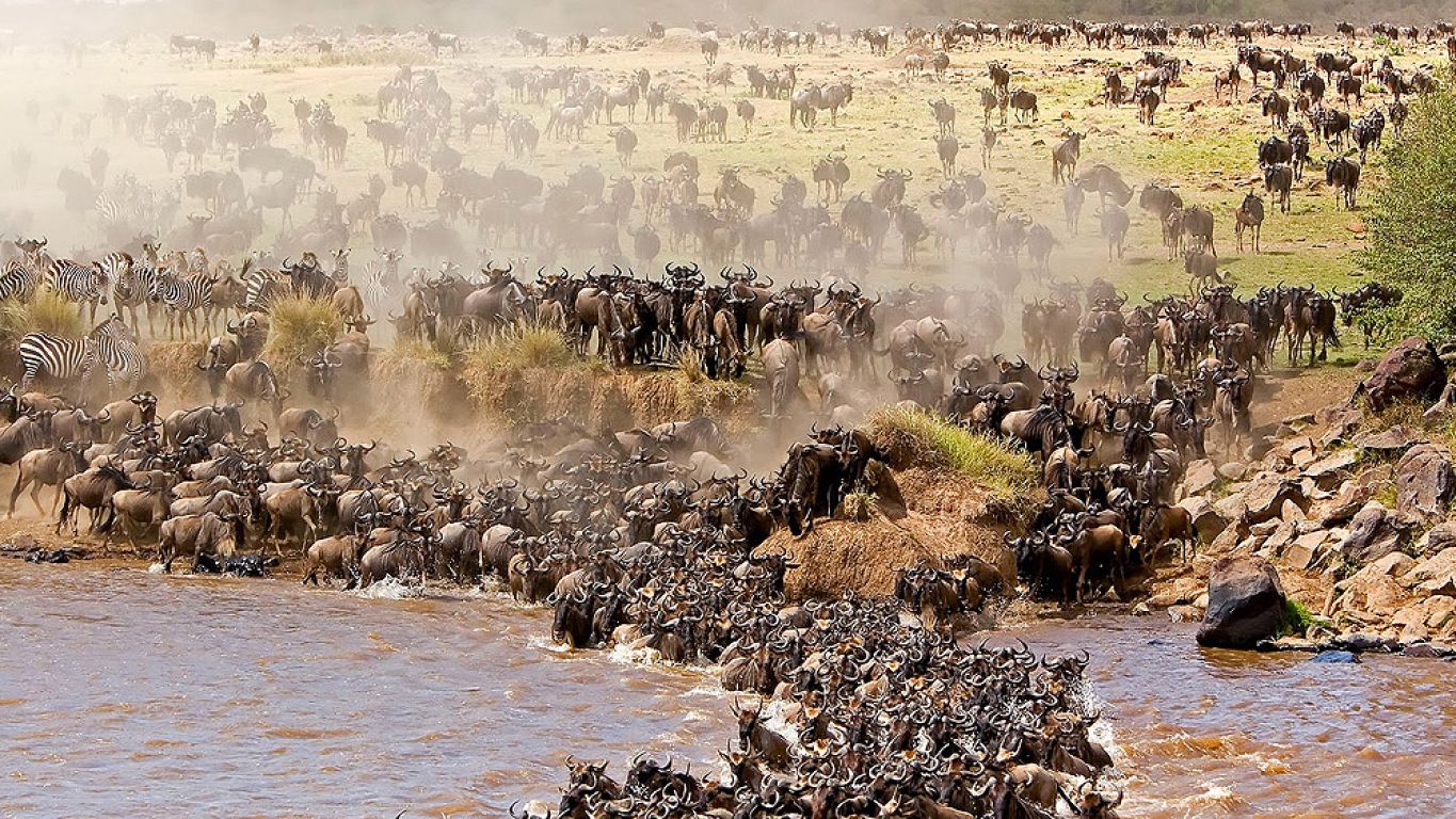 6 Days Great Migration Safari: Ndutu Special