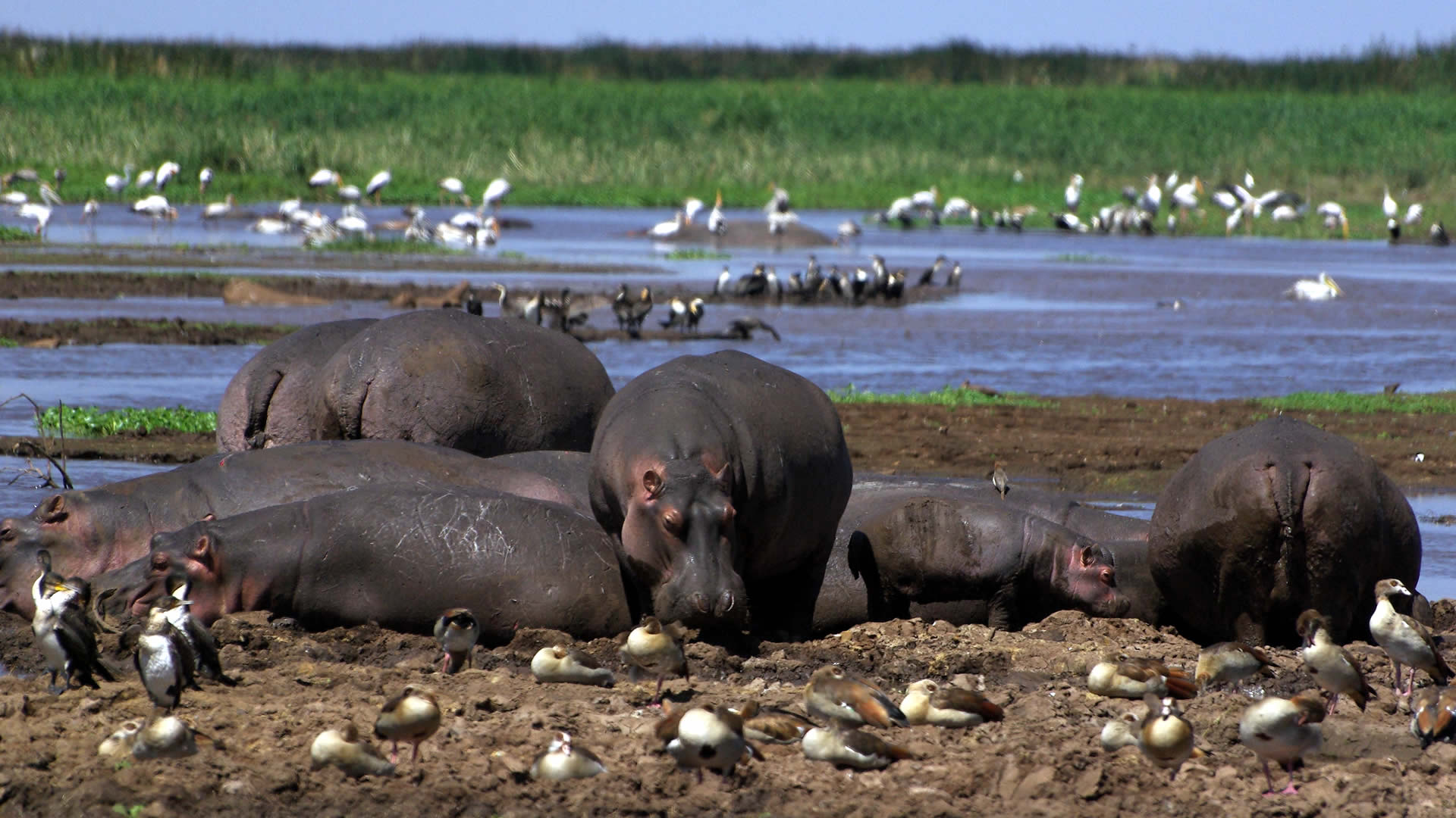 Katavi National Park