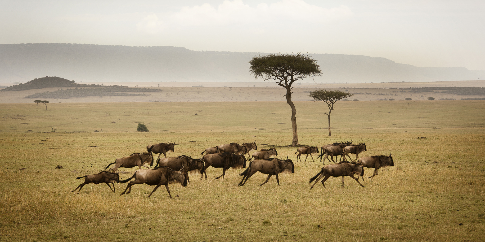Serengeti & Beyond: The Best of Tanzania in 4 Days