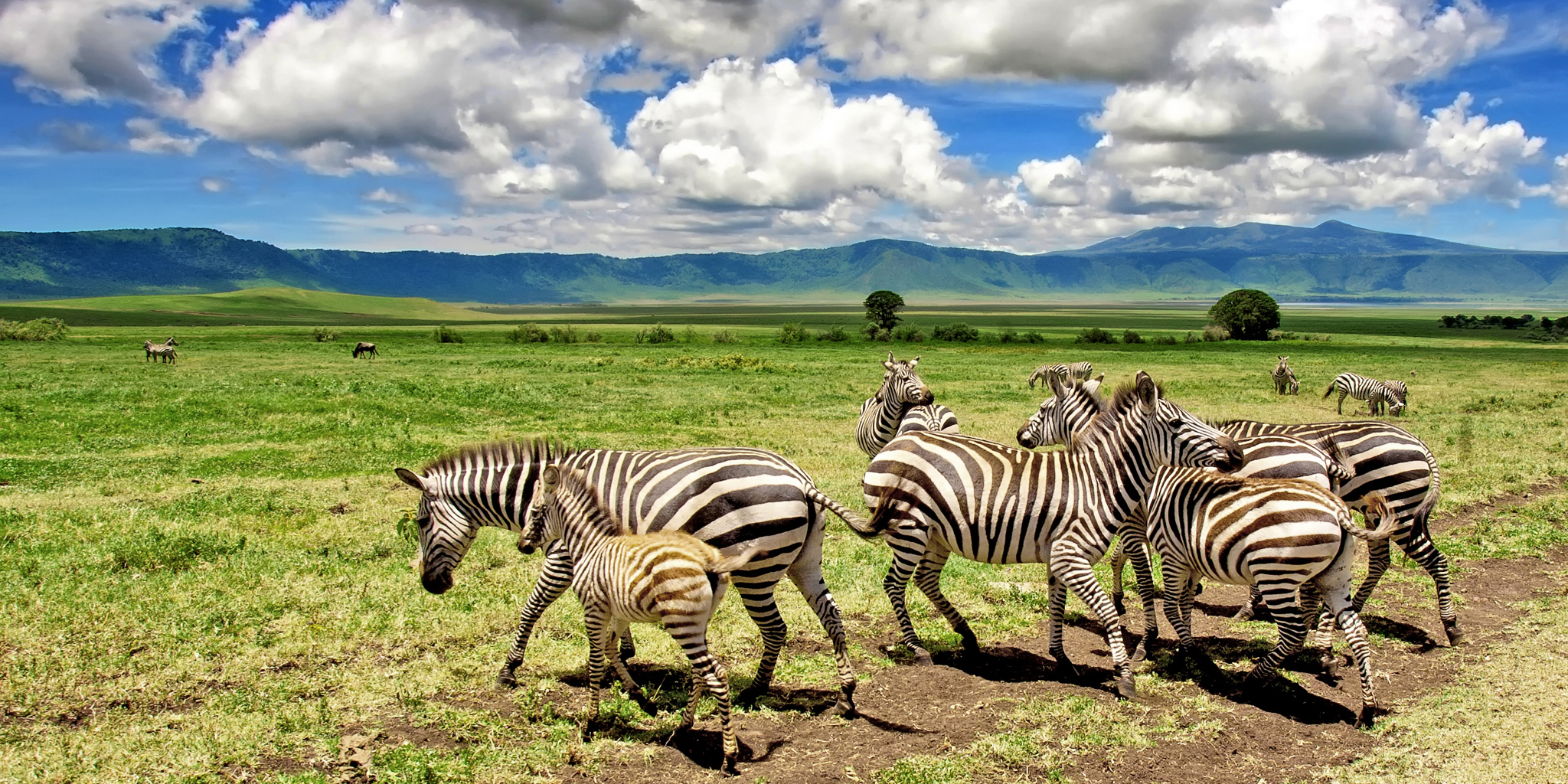 5 Days Serengeti Luxury Safari