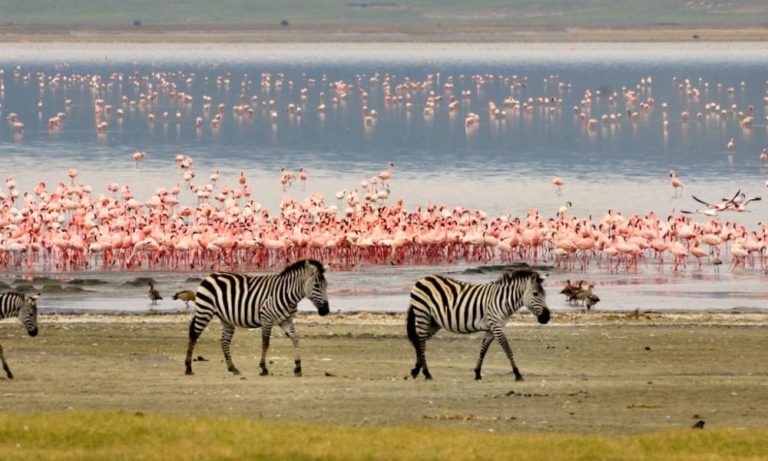 p2dbamFaeiMZCh7XkIAuvqACOv6TaS4sHv5u6-Lj-w27Nij6EdWgfihKgmtNoTA_-SgLw7yCUFhqDwlpBVAlY7XVzddlq-hGSM2KbMyUhFrvKy8NCMaLRF8DuShBZEu0GhweBUxyi377N12jFnRaB9LQ9pfG9FcEtn1jgROqb_WMkIvAoznSl9nXW2XwaSvz