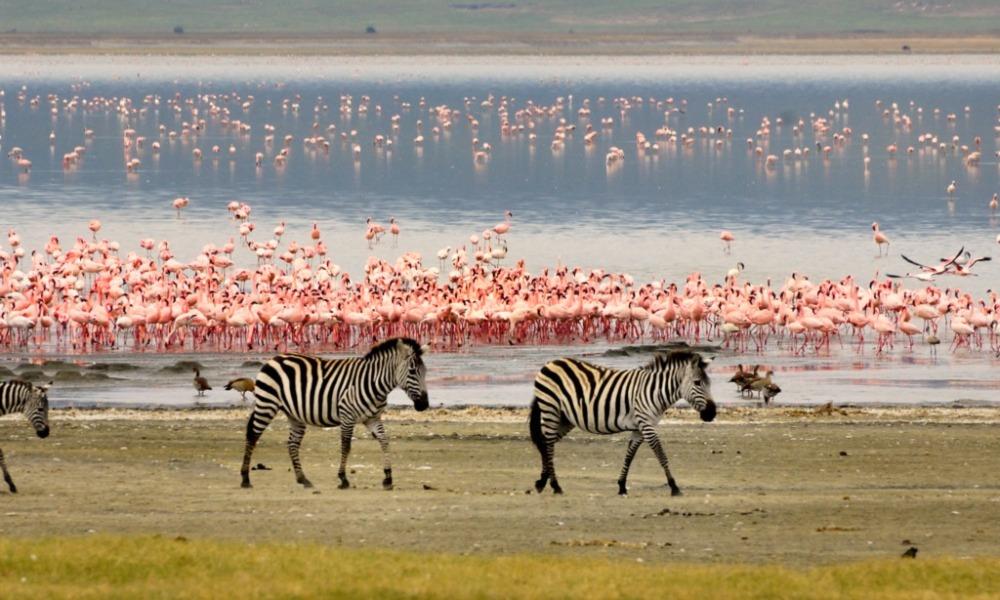 p2dbamFaeiMZCh7XkIAuvqACOv6TaS4sHv5u6-Lj-w27Nij6EdWgfihKgmtNoTA_-SgLw7yCUFhqDwlpBVAlY7XVzddlq-hGSM2KbMyUhFrvKy8NCMaLRF8DuShBZEu0GhweBUxyi377N12jFnRaB9LQ9pfG9FcEtn1jgROqb_WMkIvAoznSl9nXW2XwaSvz